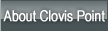 about clovis point