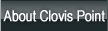 about clovis point